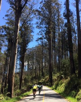 7 Peaks in 7 Days