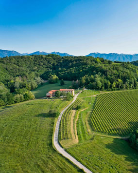 Treviso & Prosecco Gravel