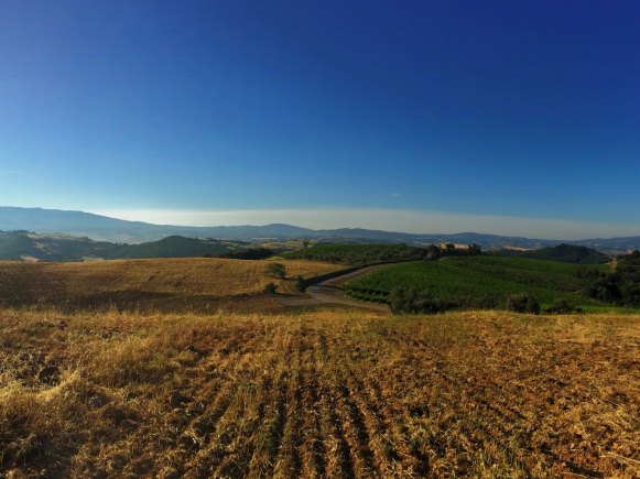 Under the Tuscan Sun