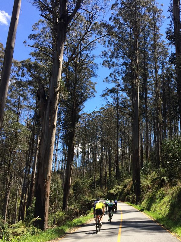 Hidden Mountainous Routes